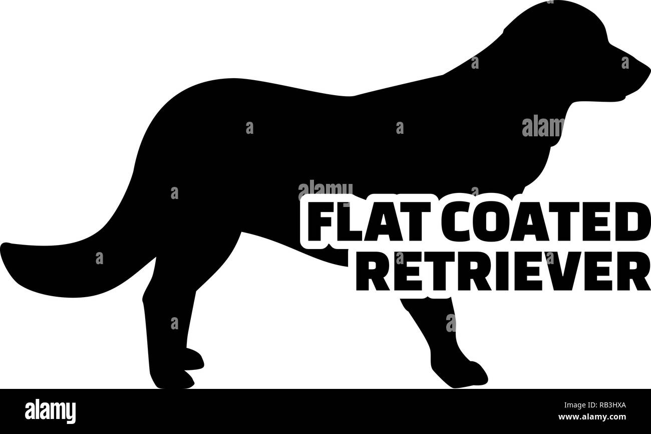 Flat Coated Retriever silhouette real mit Word Stock Vektor