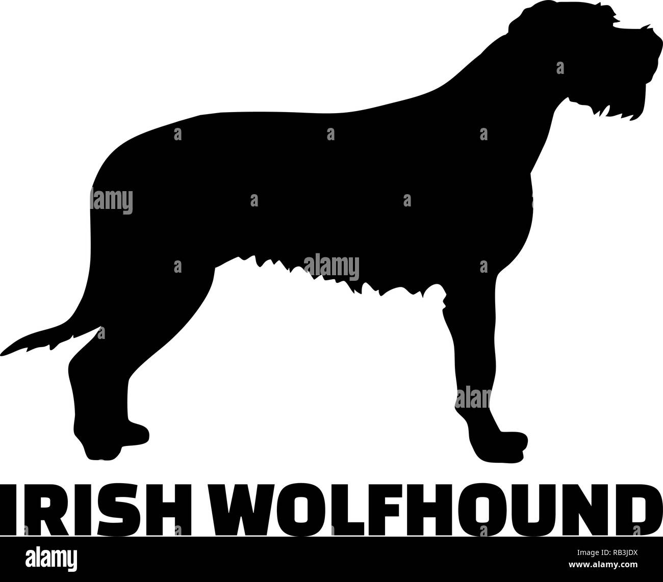 Irish Wolfhound silhouette real mit Word Stock Vektor