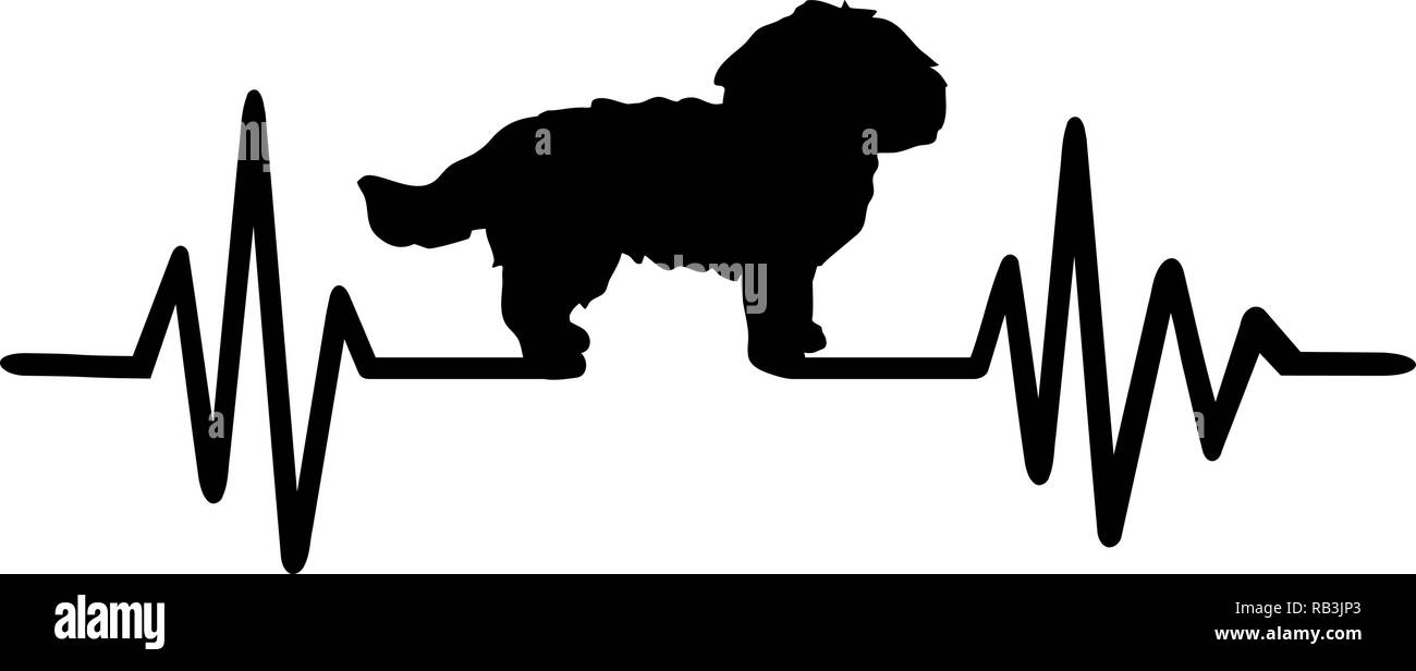 Heartbeat Puls mit Malteser Hund Silhouette Vektor Abbildung Bild