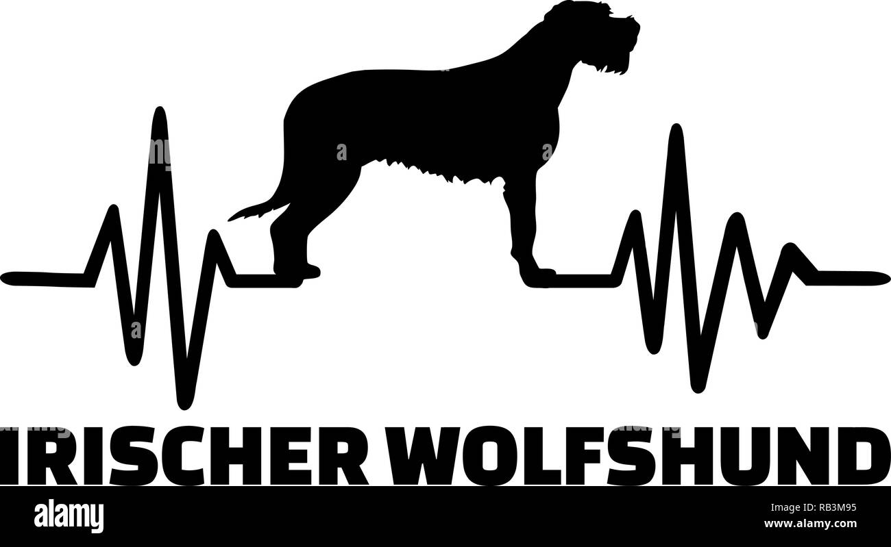 Irischer Wolfshund Stock Vektor