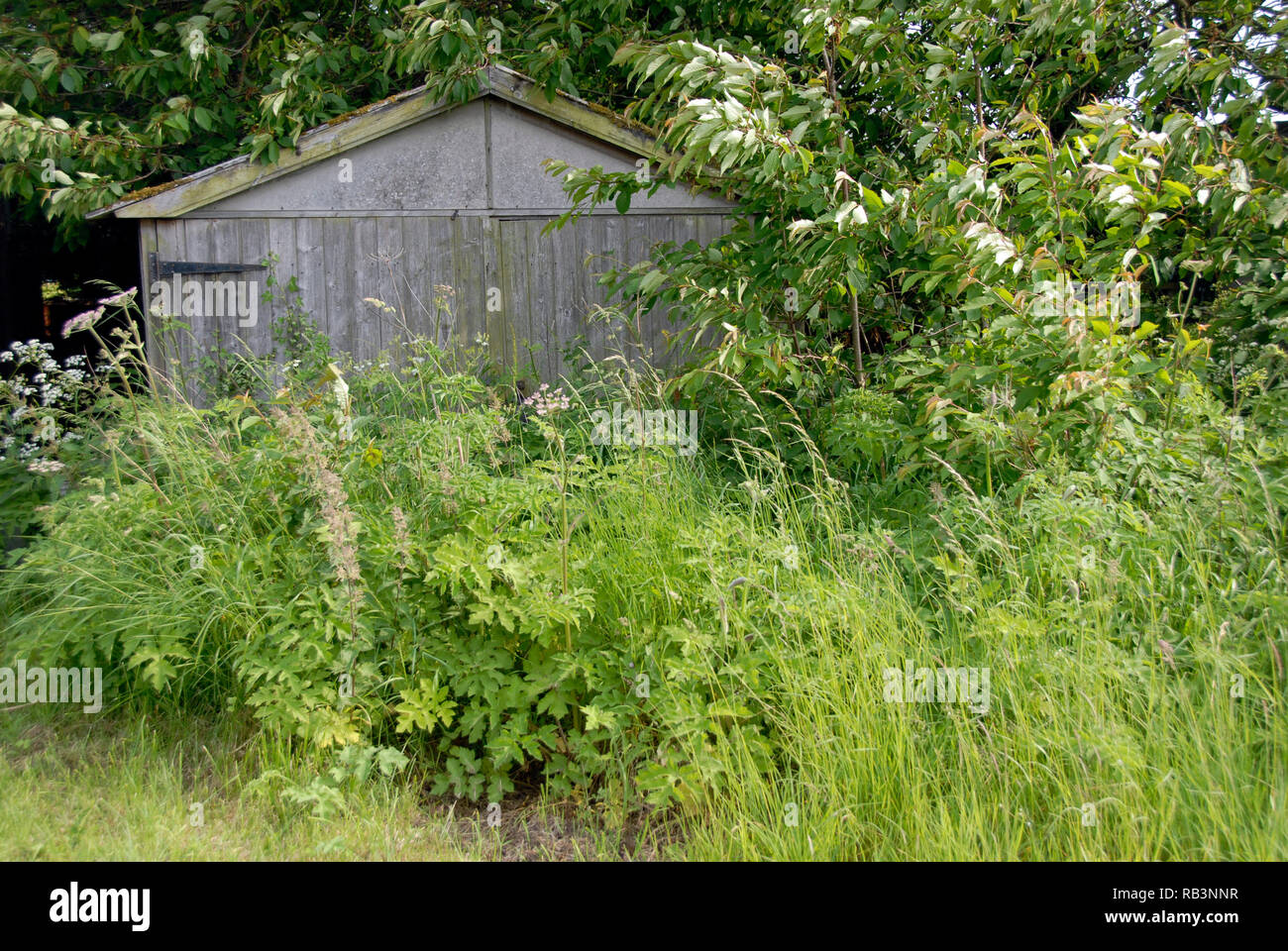 Heimische garage unzugänglichen aufgrund der langen Gras vor der Tür wächst, England Stockfoto
