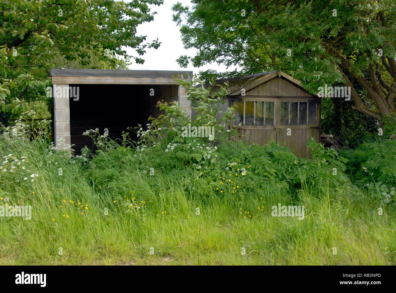 Inländische Garagen unzugänglichen aufgrund der langen Gras vor der Tür wächst, England Stockfoto