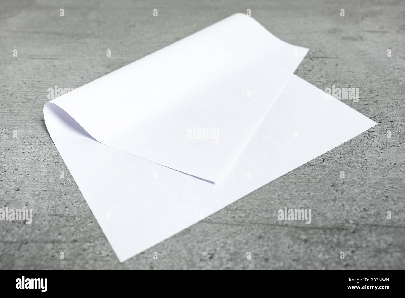 Leeres Blatt Papier auf grauem Hintergrund. Nahaufnahme der verbogene Weißbuch zur Festlegung auf Zement stilisierte Table Top Stockfoto