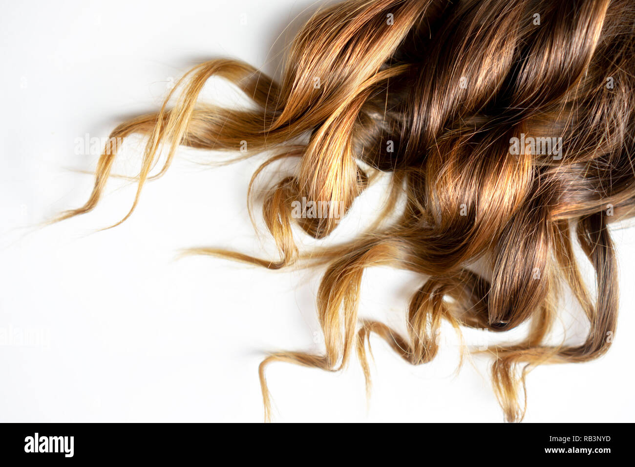 Stück braun balayage Curly glänzendes Haar auf weißem Hintergrund isoliert Stockfoto