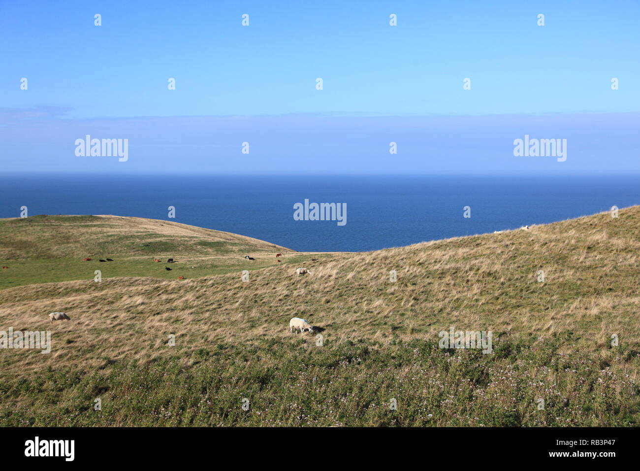 Blick vom Great Orme, Llandudno, Conwy County, North Wales, Wales, Vereinigtes Königreich, Europa Stockfoto