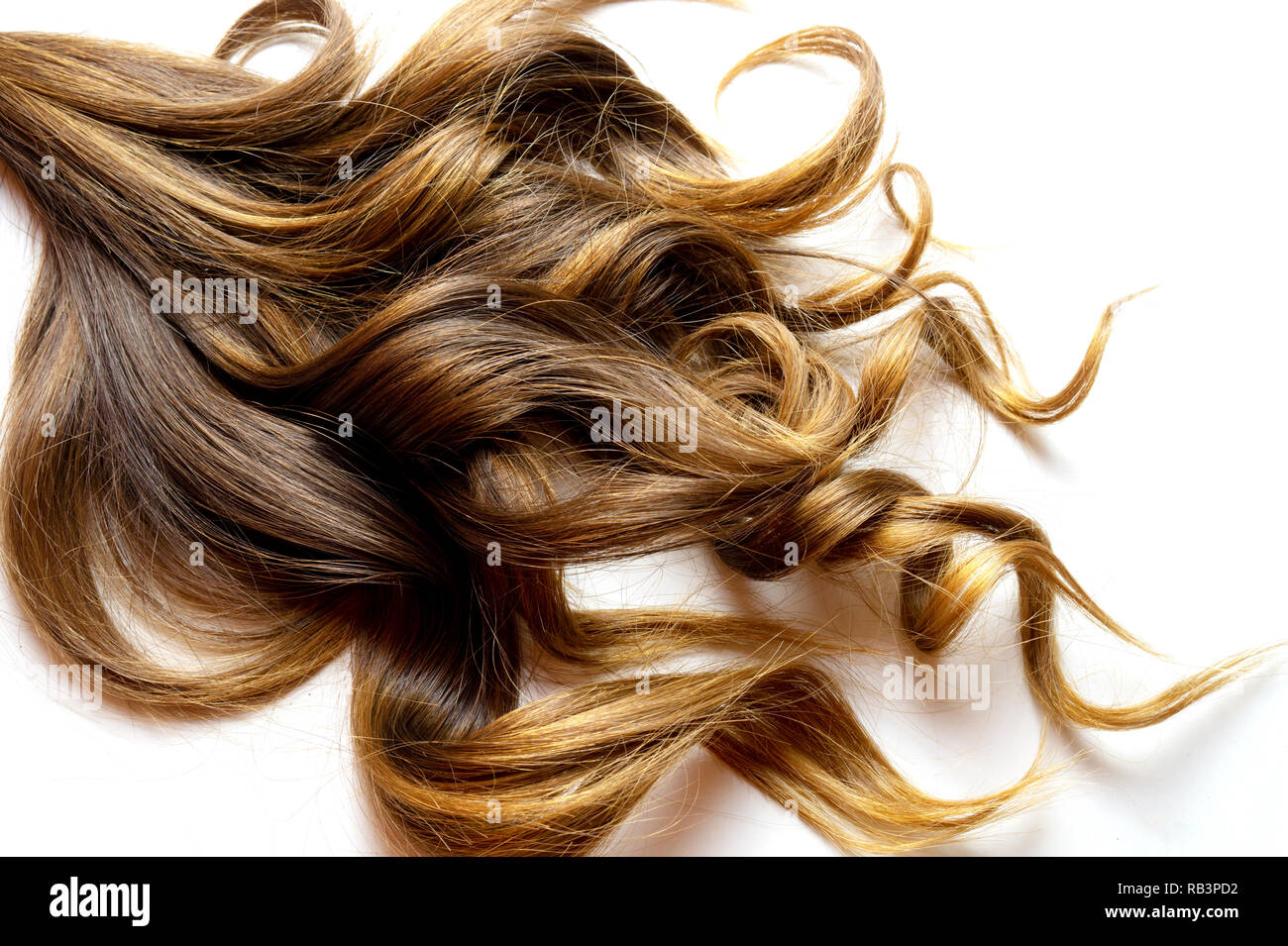 Lange braune lockige Haare auf weißem Hintergrund isoliert Stockfoto