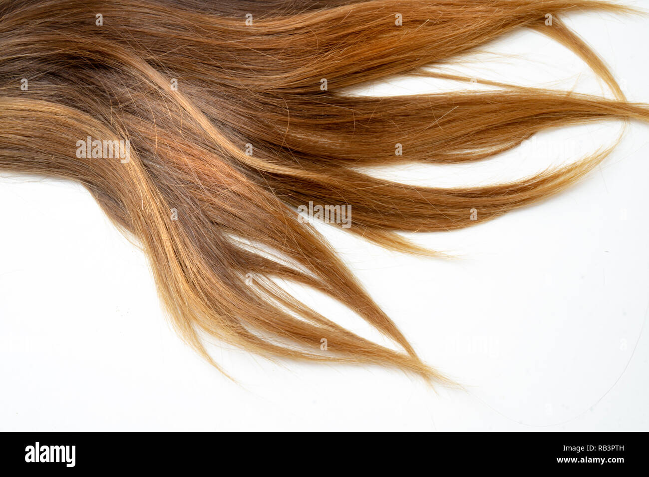 Lange braune glatte Haare auf weißem Hintergrund isoliert Stockfoto