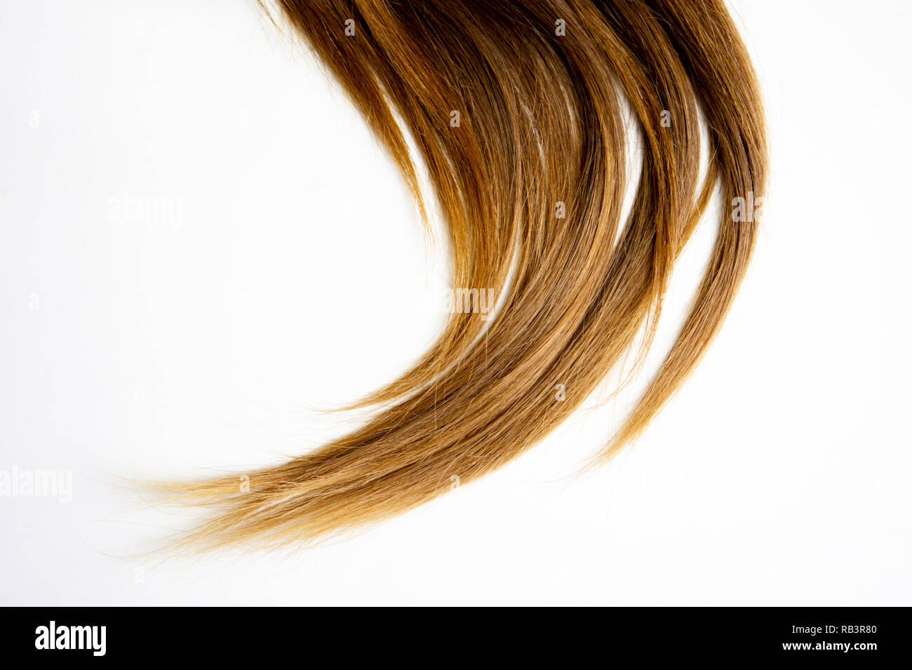 Lange braune glatte Haare auf weißem Hintergrund isoliert Stockfoto