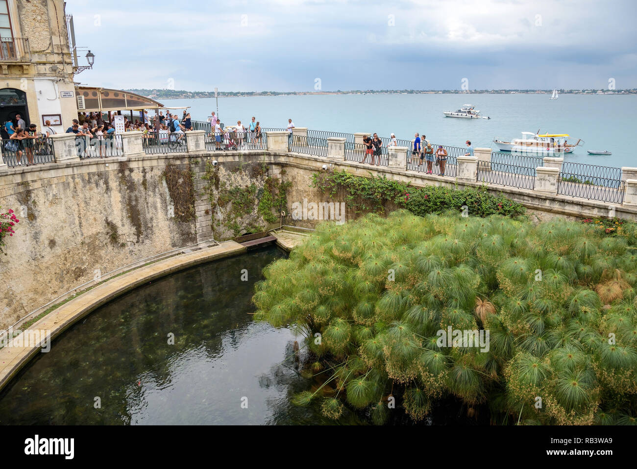 Syrakus, Sizilien, Italien - 23 August 2017: touristischen Besuch der Brunnen der Arethusa, einem natürlichen Brunnen auf der Insel Ortygia im historischen Zentr Stockfoto
