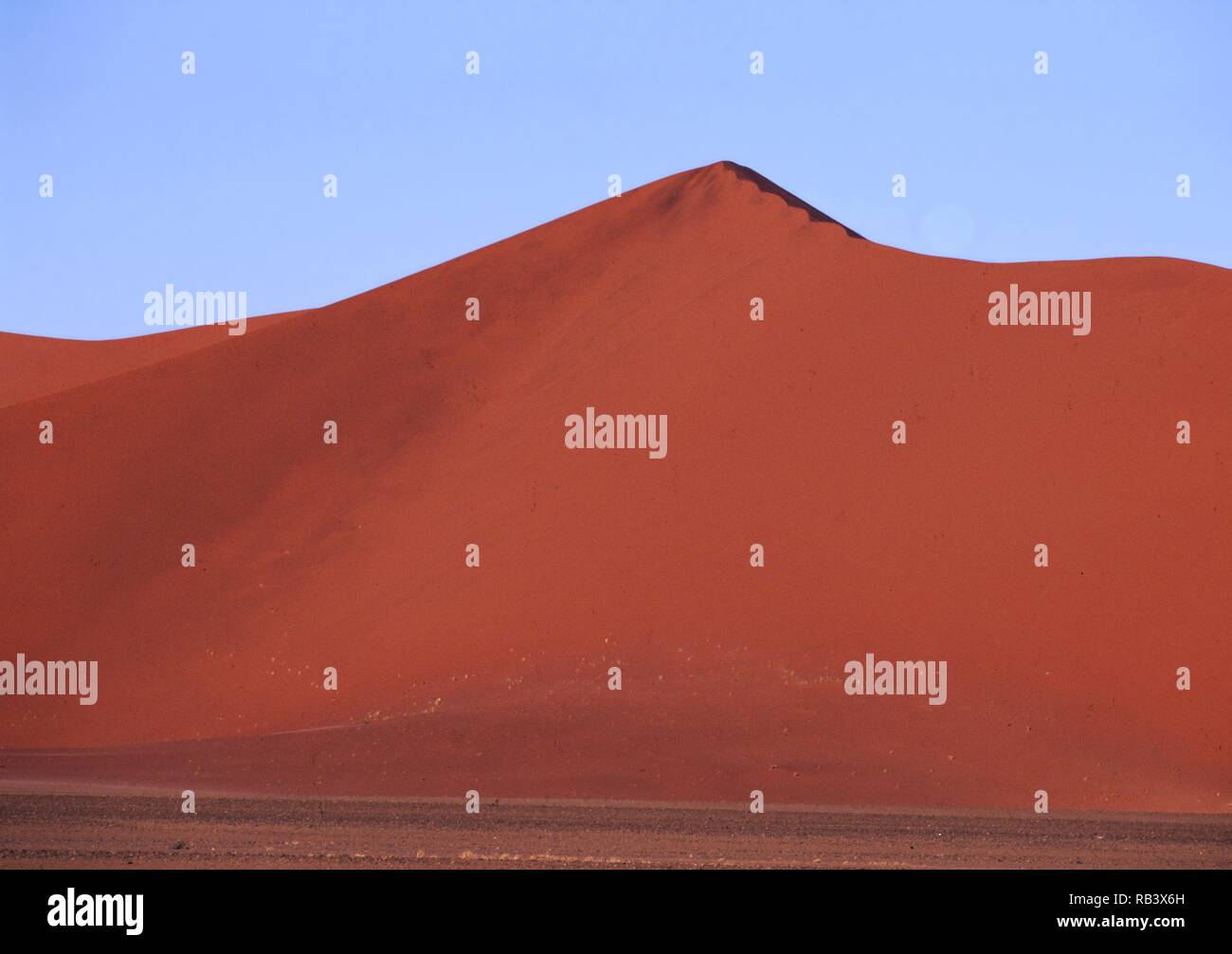 Sossusvlei, Namibia Stockfoto