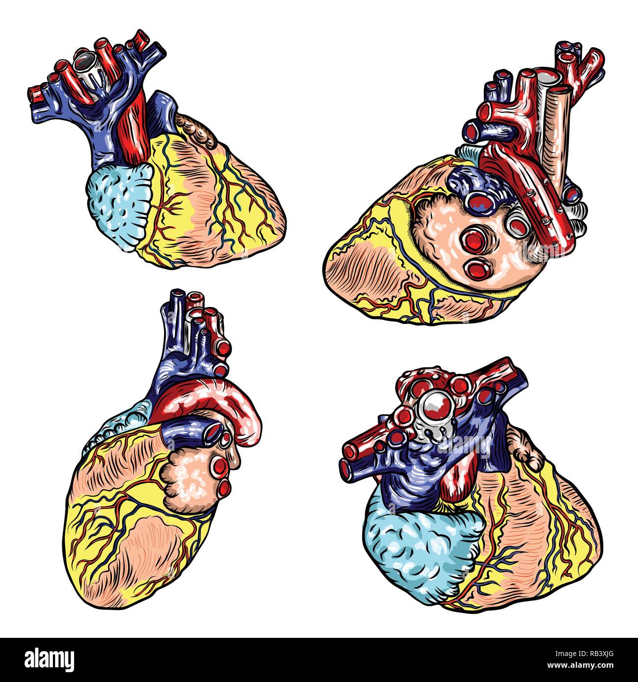 Einstellen des menschlichen Herzens anatomisch Hand gezeichnet. Cartoonish flash Tattoo design Gravur. Vektor. Stock Vektor