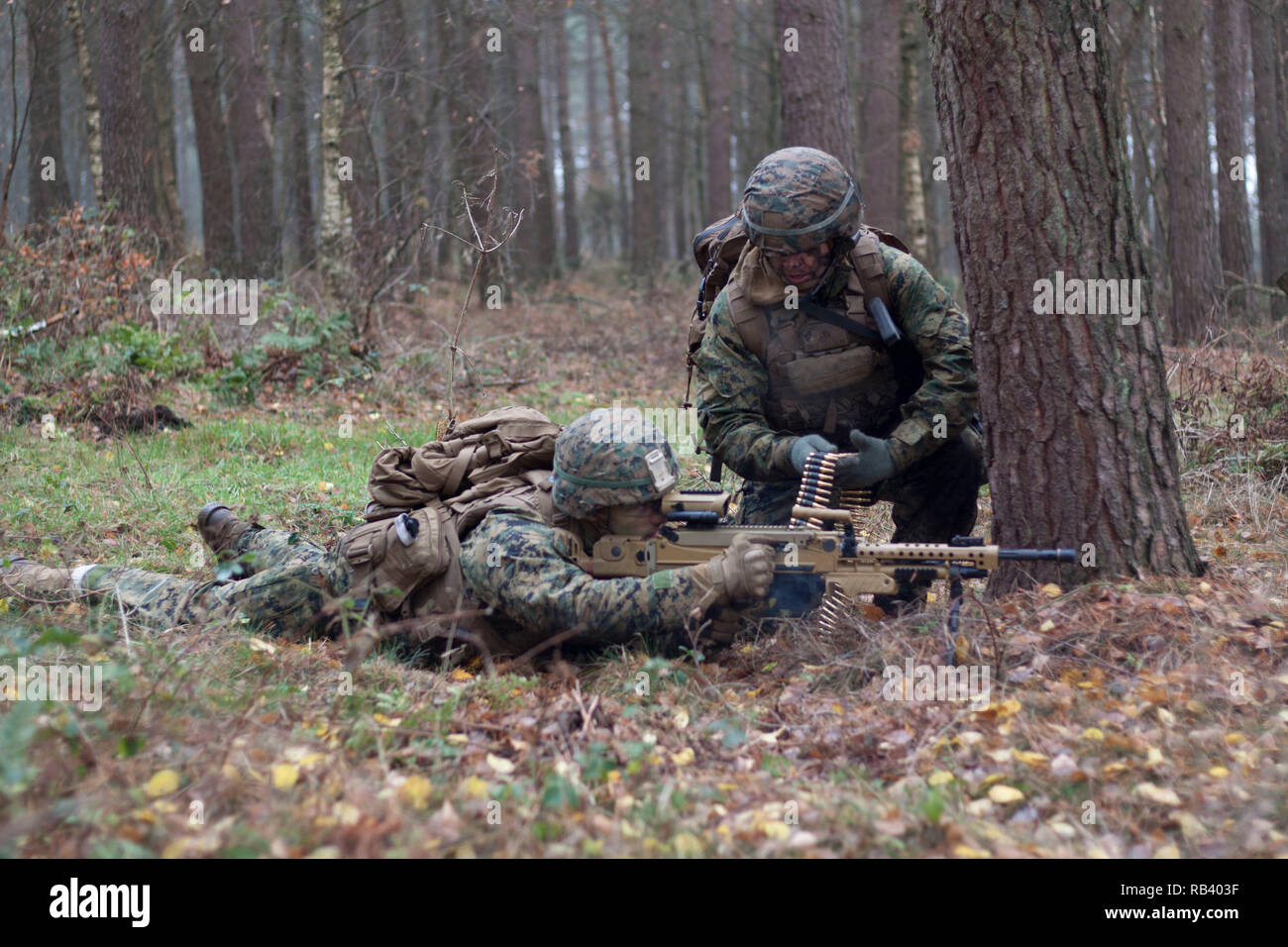 Us-Marines mit speziellen Zweck Marine Air-Ground Task Force-Crisis Response-Africa bieten Sicherheit während einer Schulungsveranstaltung mit deutschen Soldaten in Seedorf, Deutschland, Dez. 6, 2018. Diese Veranstaltung, die auf infanterie Taktik und Manöver konzentrierte, markiert das erste Mal US-Marines mit deutschen Fallschirmjäger Regiment-31 ausgebildet haben. SPMAGTF-CR-AF ist ein drehkraft eingesetzt Krise - Reaktion und Theater - Security Operations in Europa und Afrika zu leiten. (U.S. Marine Corps Foto von 2 Leutnant Taylor Cox) Stockfoto