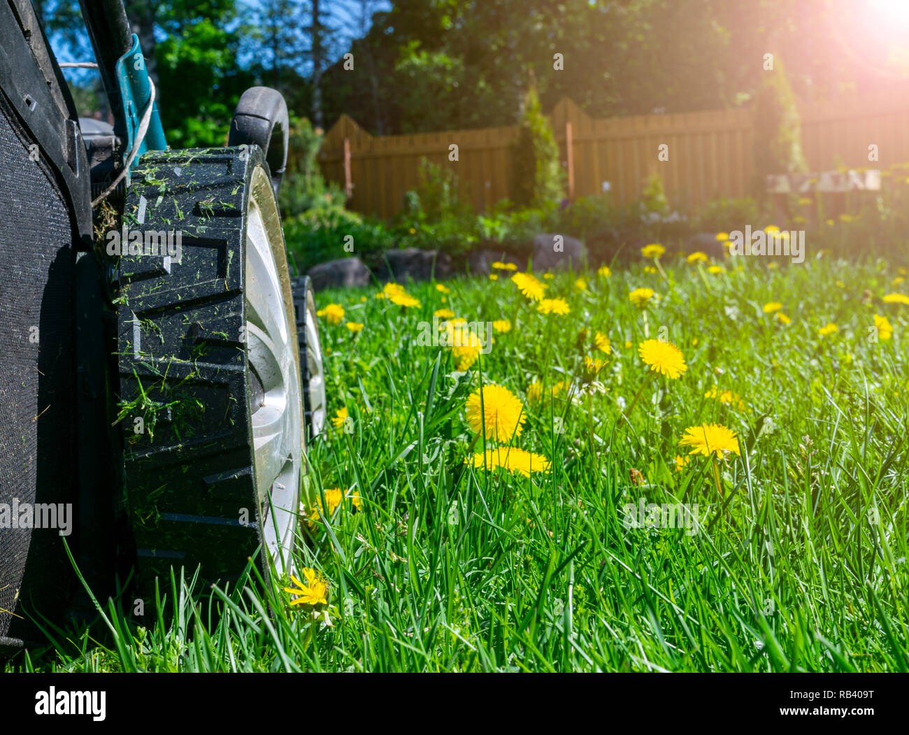 Mähen rasen. Rasenmäher auf grünem Gras. Mähwerk Gras. Mähen Gärtner