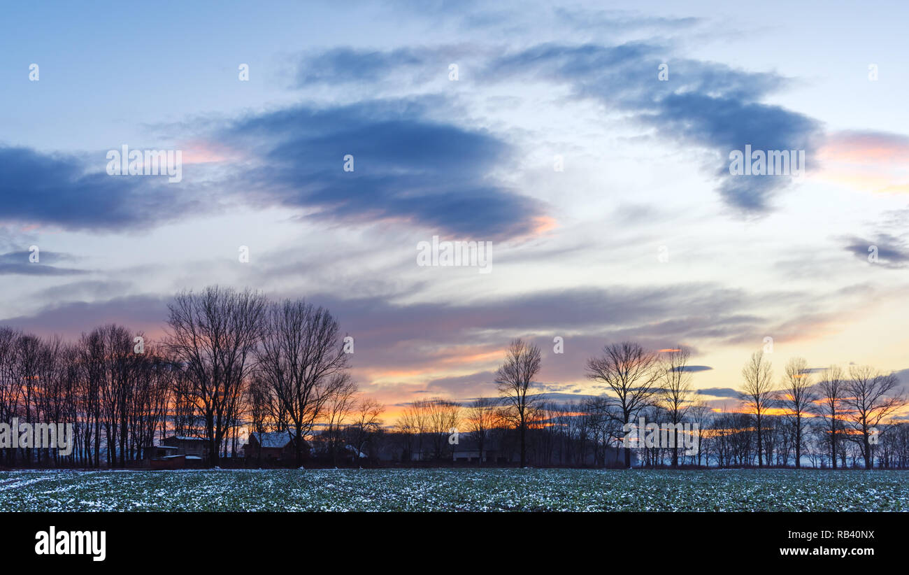 Ländliche Szene auf Winter Feld in den Strahlen der untergehenden Sonne. Landschaftsfotografie Stockfoto
