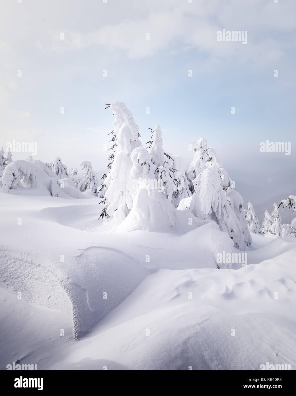 Fantastische Winterlandschaft mit verschneiten Bäumen. Karpaten, Ukraine, Europa. Weihnachten Konzept Stockfoto
