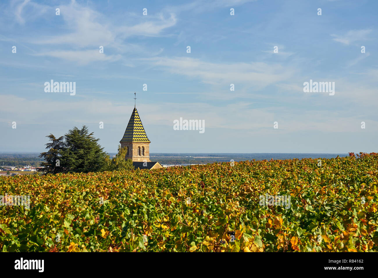 Typische Kirche und Weinberg von Burgund an Fixin Burgund Frankreich Stockfoto