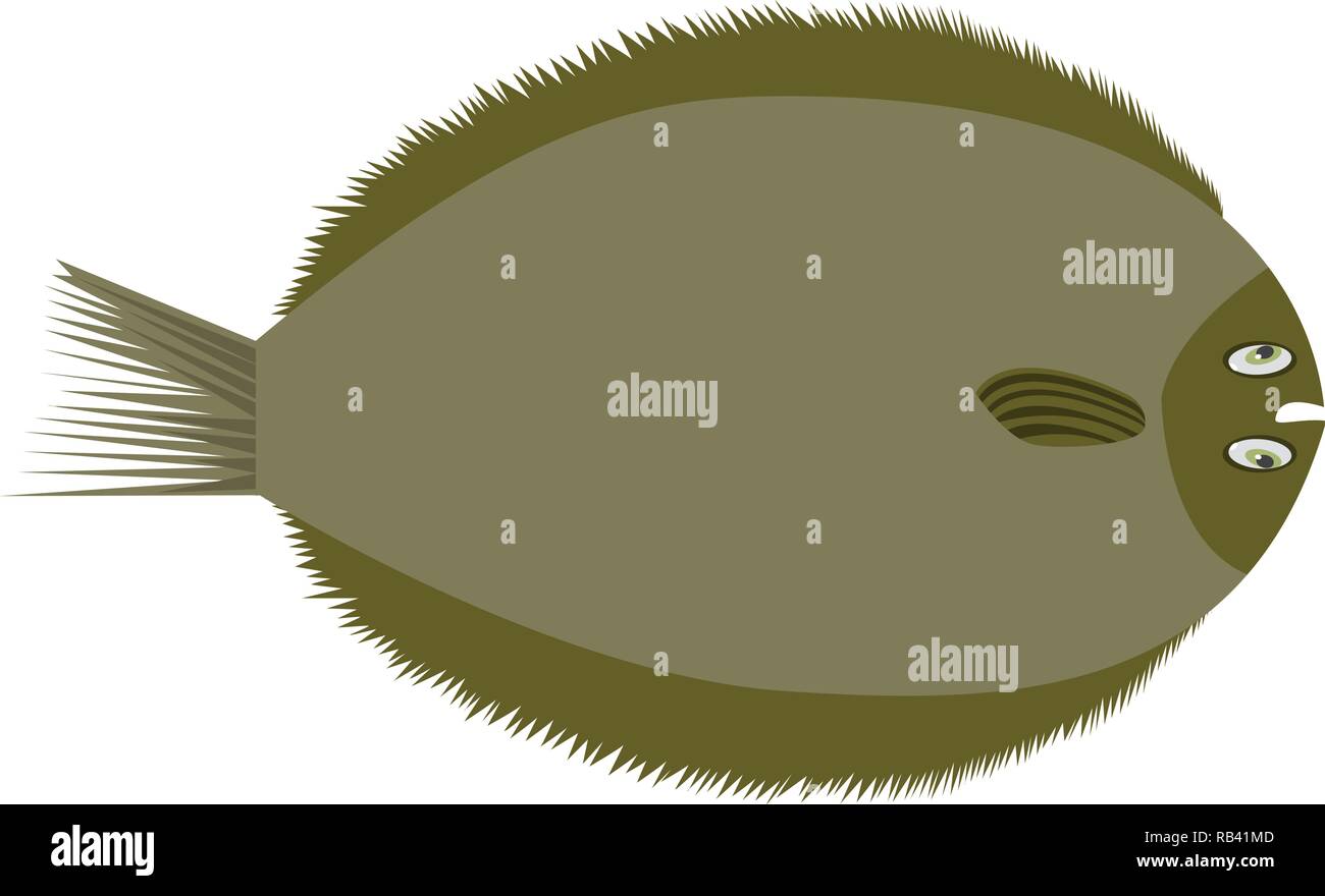 Brill, europäischen flache Fische. Flachen farbe Stil Vector Illustration. Stock Vektor
