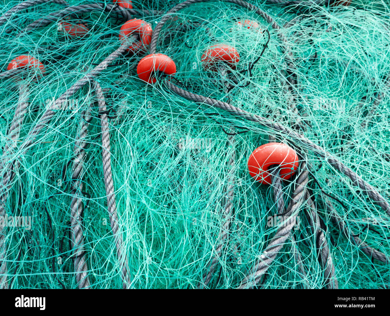 Teal Fischernetz und Coral Schaum schwimmt. Beste Komplementärfarbe für Korallen. Farbe des Jahres 2019. Stockfoto