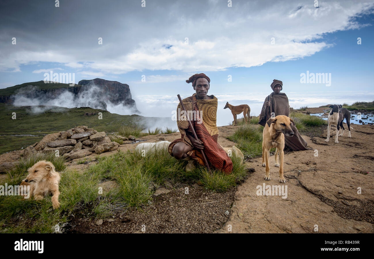 Zwei afrikanische Männer in ihre traditionelle Basotho decken und Kopfbedeckungen gewickelt, hockte auf dem Berg oben mit ihren vier Hunden. Full Color Image Stockfoto