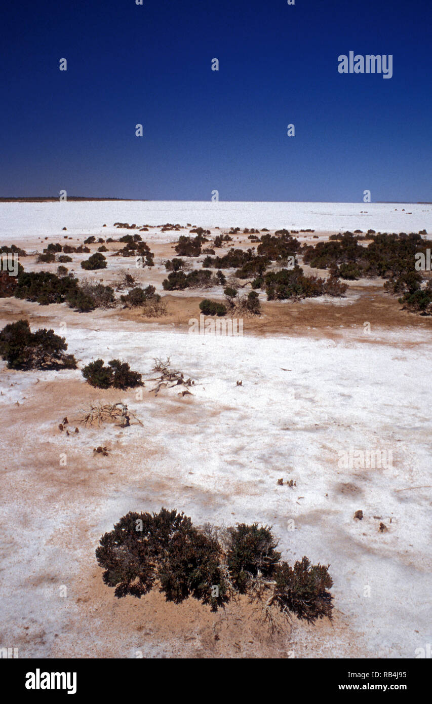 See Enttäuschung ist eine EPHEMERE SALT LAKE AM WESTLICHEN RAND DES GIBSON DESERT, WESTERN AUSTRALIA Stockfoto