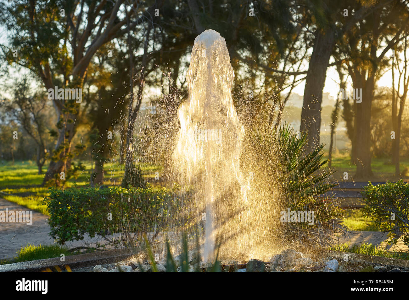 Kühlung Wassertröpfchen Sprühen von diesem Pilz geformte dekorative Brunnen erscheinen wie golden leuchtende Funken in der warmen Morgensonne. Stockfoto