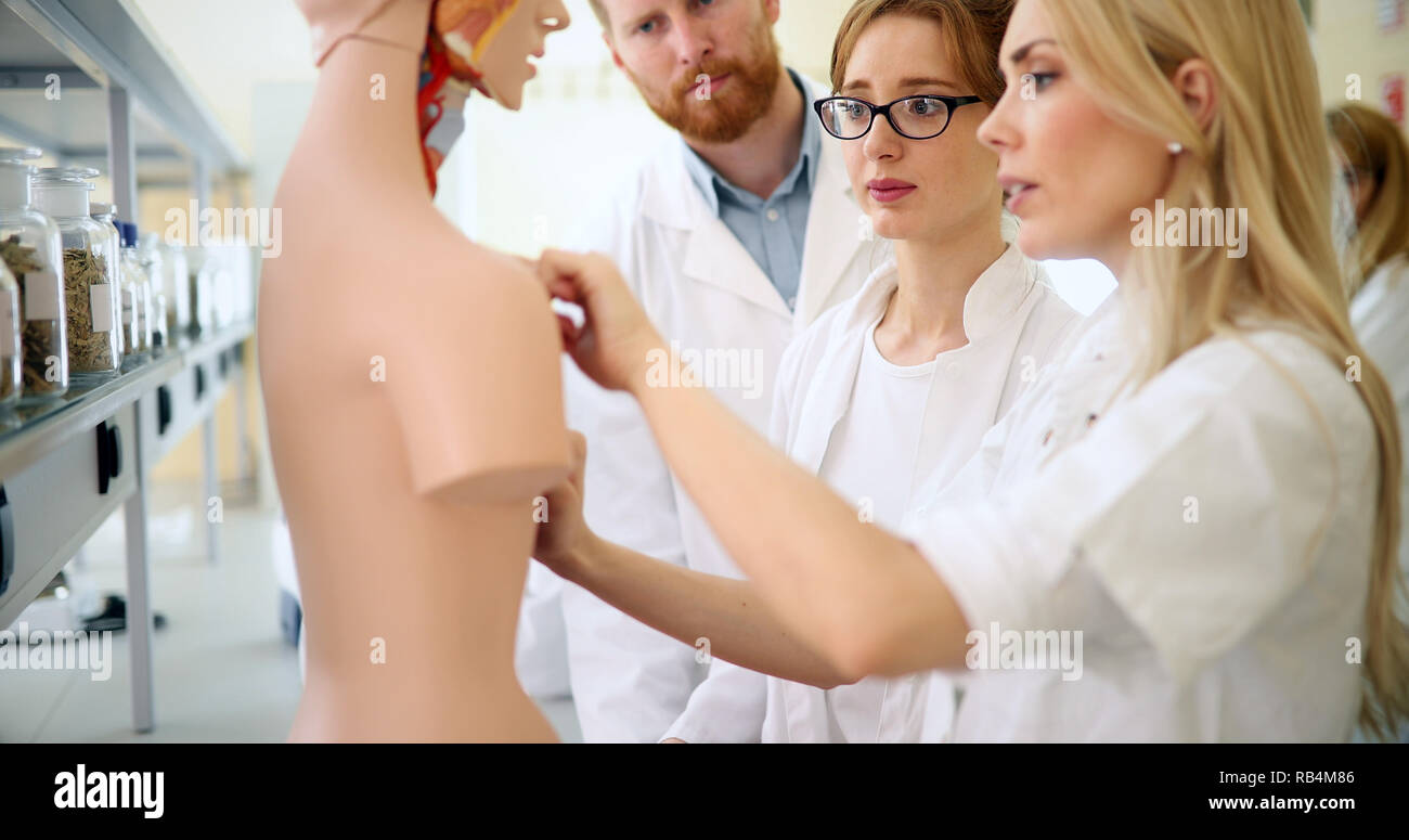 Studenten der Medizin untersuchen anatomische Modell im Klassenzimmer Stockfoto