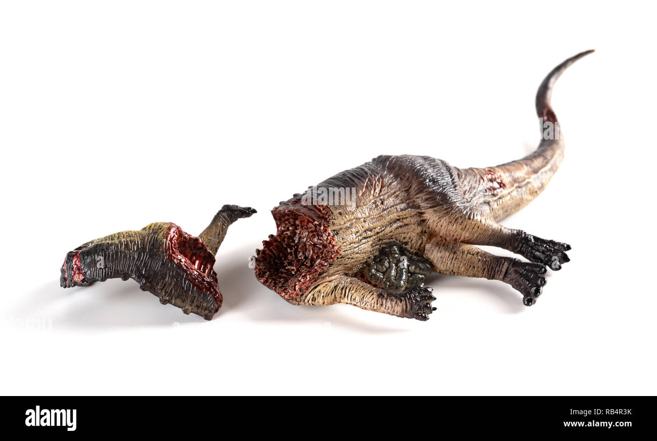 Dinosaurier toten Körper auf weißem Hintergrund Stockfoto