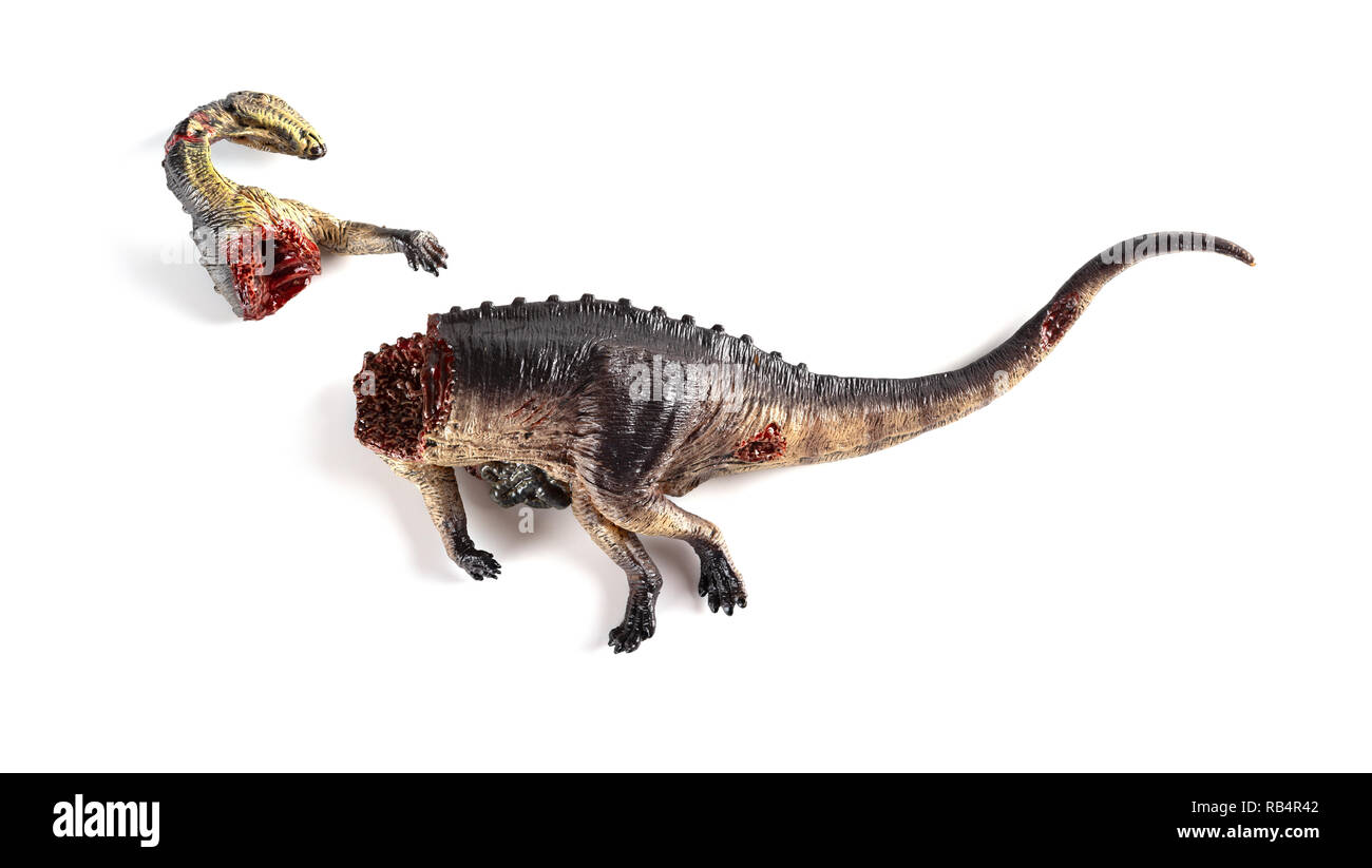Dinosaurier toten Körper auf weißem Hintergrund Stockfoto