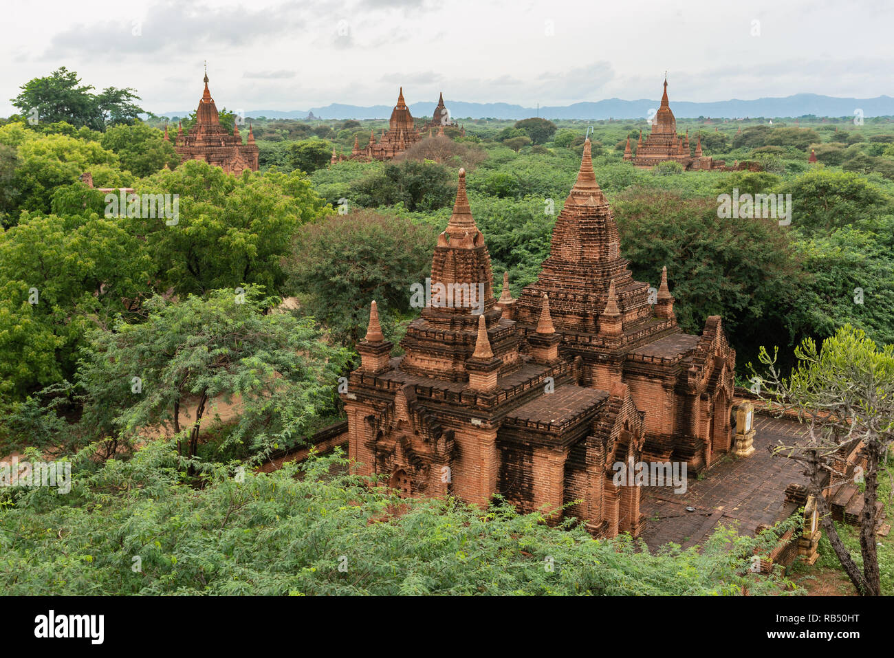 Pagoden durch Dschungel bei Sonnenuntergang in Bagan, Myanmar umgeben Stockfoto