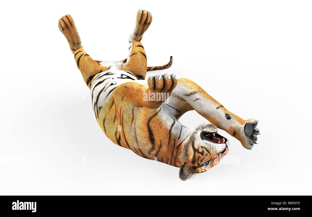 Gefährliche Bengal Tiger Brüllen und Springen isoliert auf weißem Hintergrund, mit Freistellungspfad, 3D-Darstellung. Stockfoto