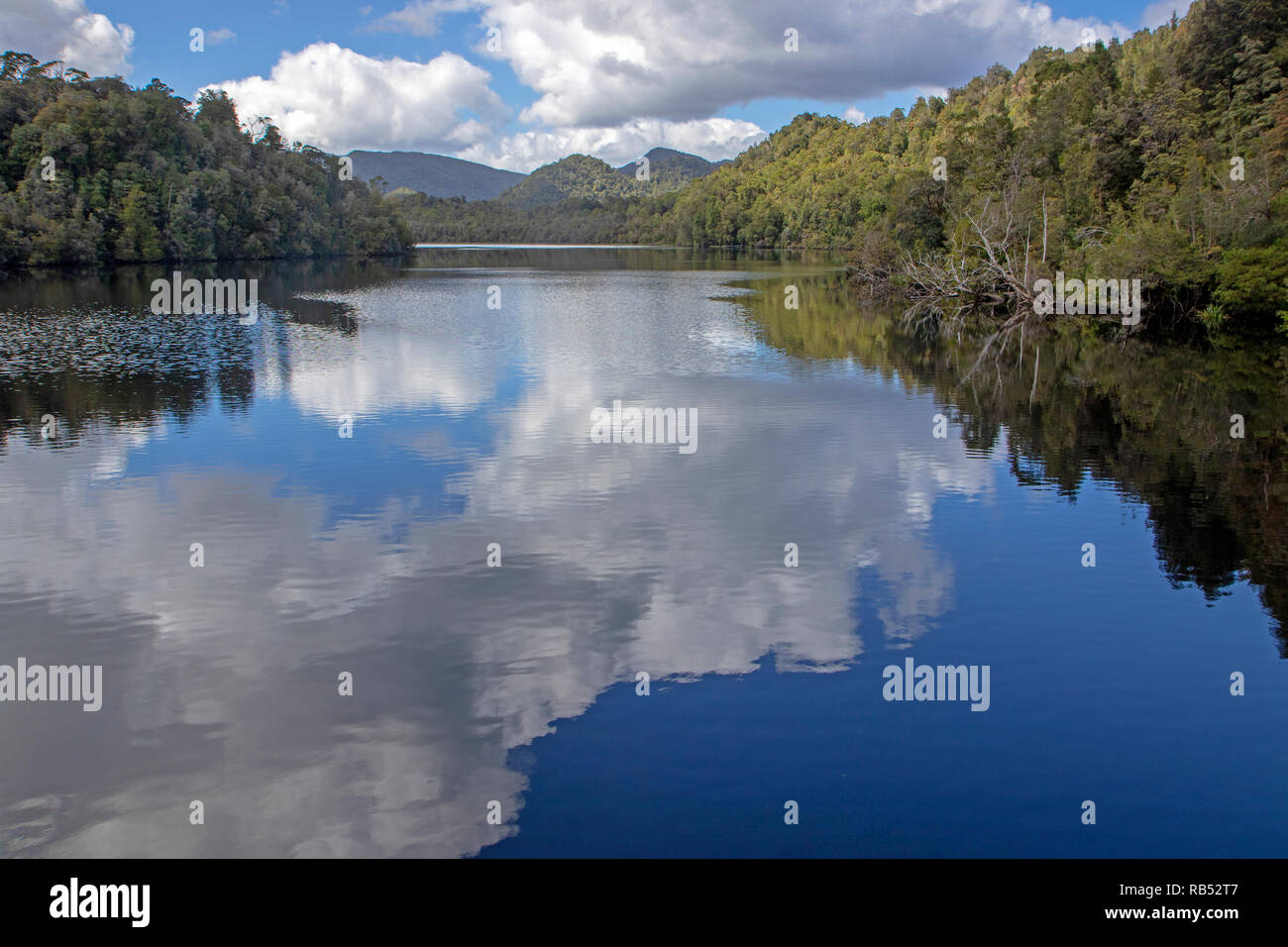 Reflexionen auf dem Gordon River Stockfoto