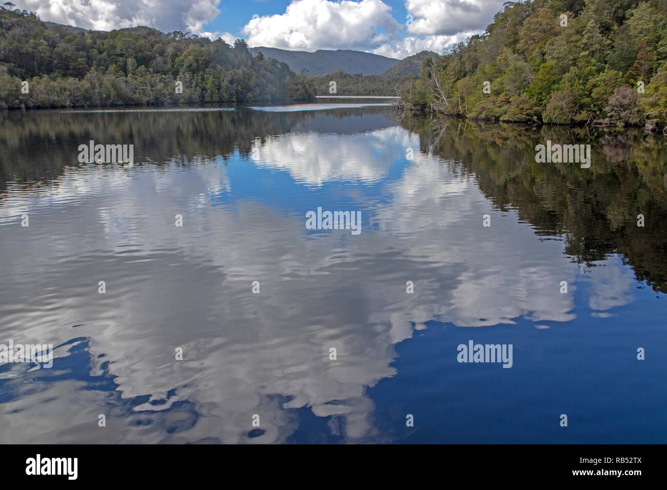 Reflexionen auf dem Gordon River Stockfoto