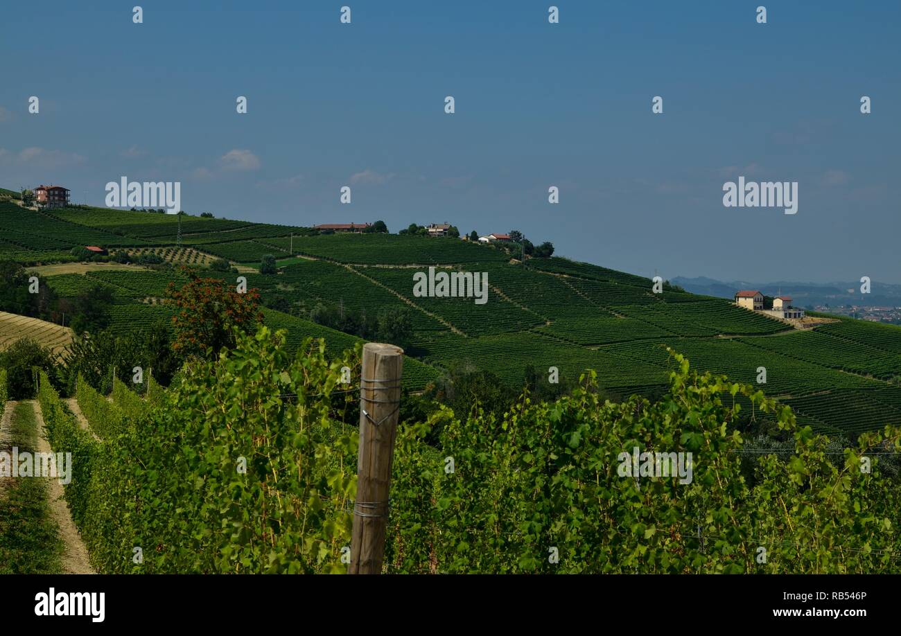 La Morra, Piemont, Italien. Juli 2018. Außerhalb der Stadt, die herrlichen Weinberge. Ein Blick auf die wunderschöne Landschaft des Platzes. Stockfoto