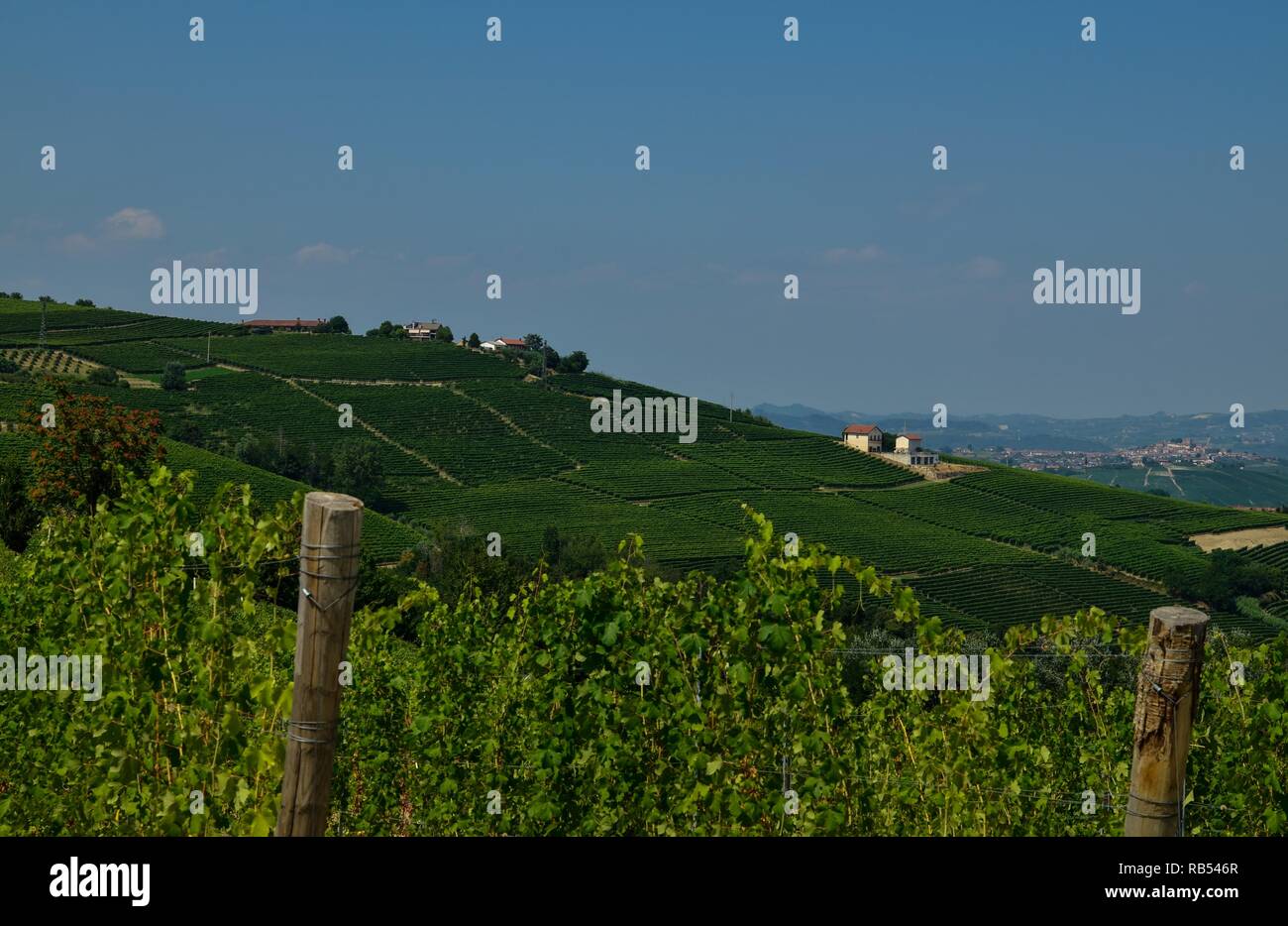 La Morra, Piemont, Italien. Juli 2018. Außerhalb der Stadt, die herrlichen Weinberge. Ein Blick auf die wunderschöne Landschaft des Platzes. Stockfoto