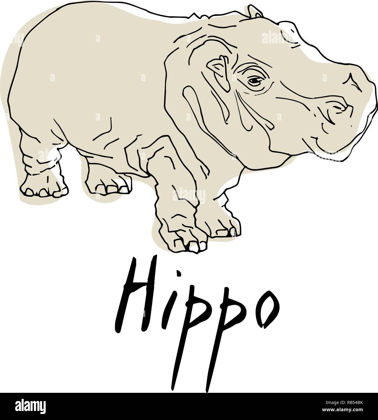 Hippo im Cartoon Stil, ist auf weißem Hintergrund isoliert. Afrikanische Tier- und Pflanzenwelt vector illustration symbol. Stock Vektor