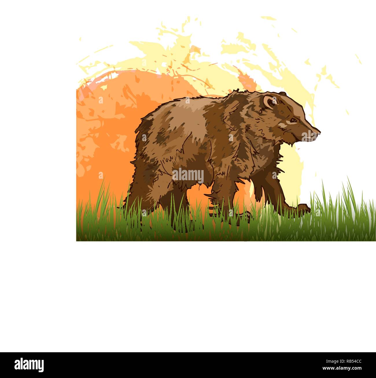 Ein brauner Bär steht auf dem Rasen vor dem Hintergrund der aufgehenden Sonne. Wildes Tier steht auf vier Pfoten. Vector Illustration der terrestrischen predaceou Stock Vektor