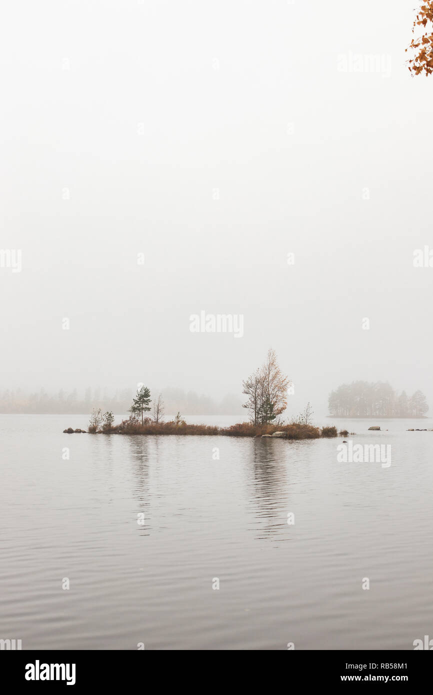 Kleine Insel in einem See in Nebel im Herbst. Shot in Schweden am frühen Morgen ganz alleine in den Wald. Stockfoto