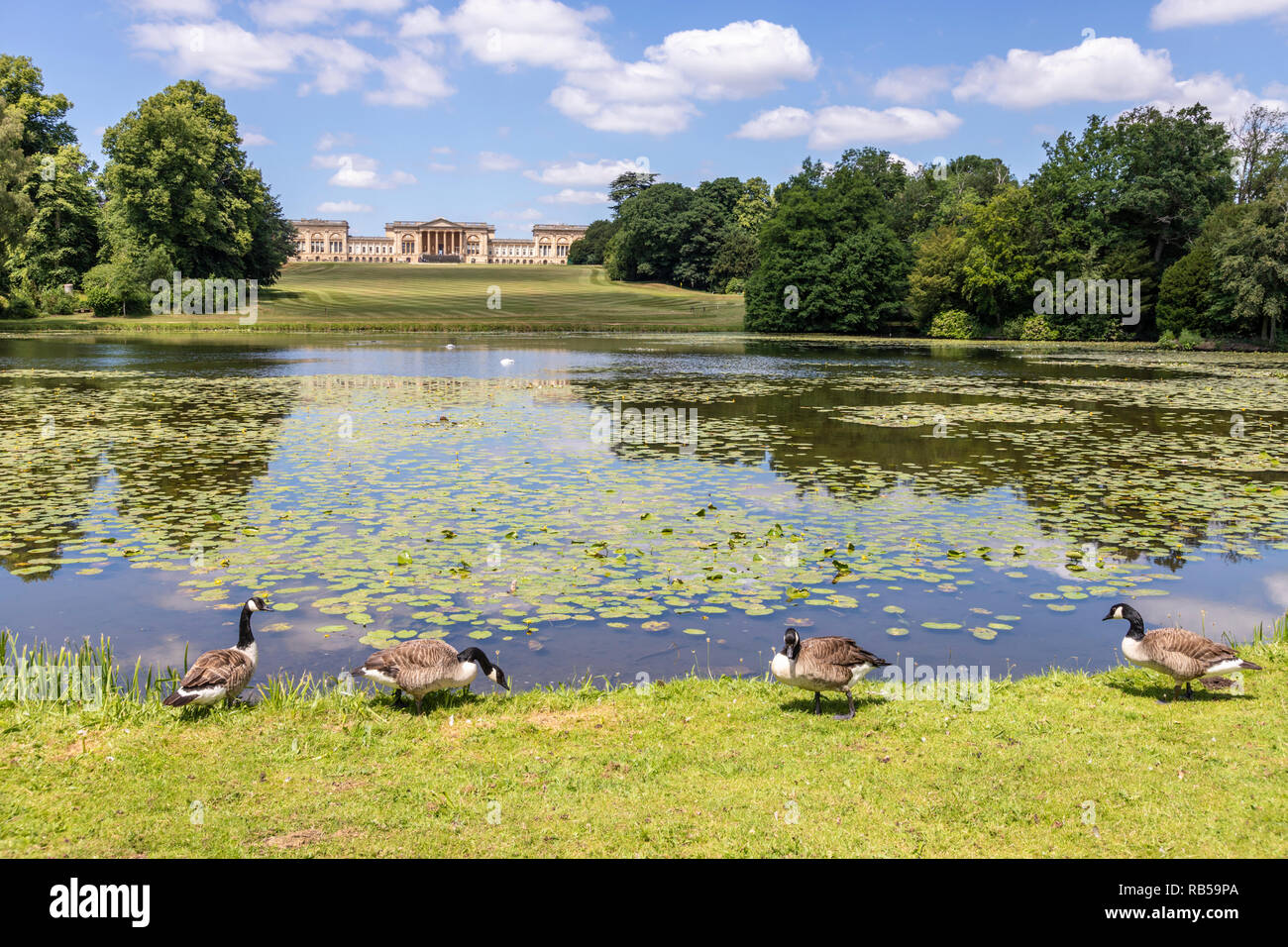 Canada Gänse am See bei Stowe House Gardens, Buckinghamshire UK Stockfoto