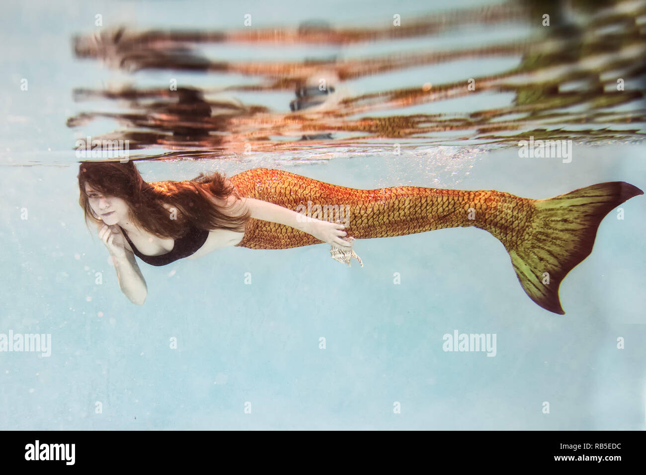 Echte Meerjungfrau Stockfotos und -bilder Kaufen - Alamy