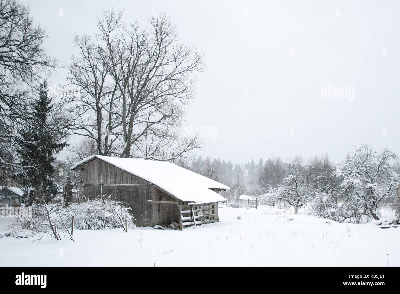 Wunderschöne Landschaft Winter Blick mit weißem Schnee an einem kalten Tag. Stockfoto