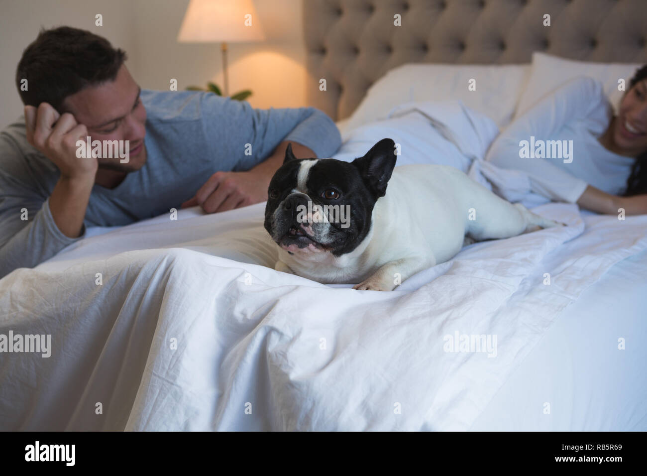 Paar spielen mit ihren Hund im Schlafzimmer Stockfoto