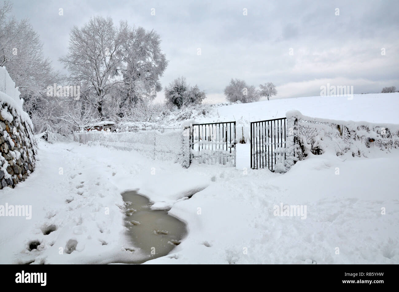 Verschneite Landschaft mit grossen Bäumen und einem Zaun Stockfoto