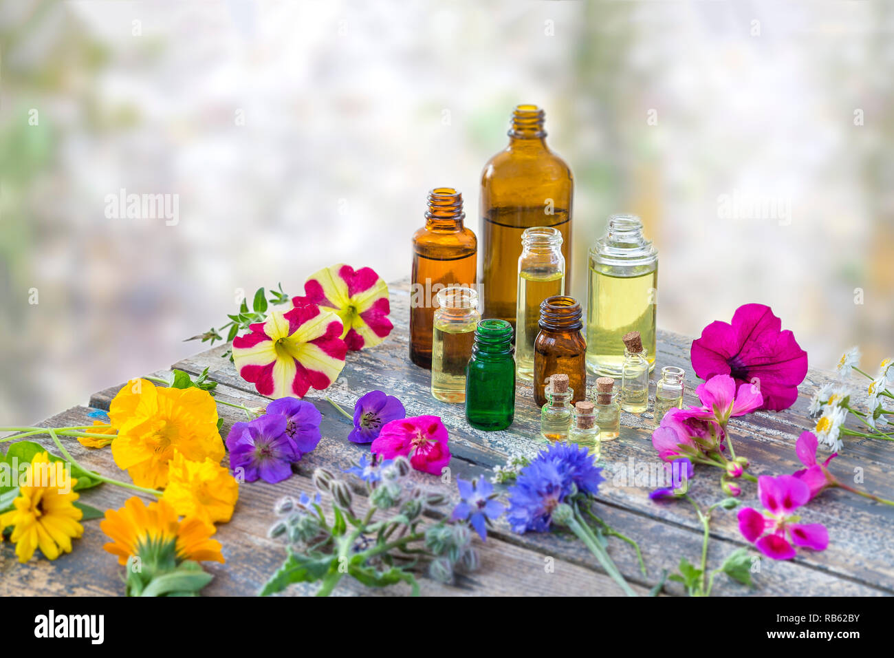 Ätherisches Öl und Parfum von Heilpflanzen durch die Blütenblätter umgeben Stockfoto
