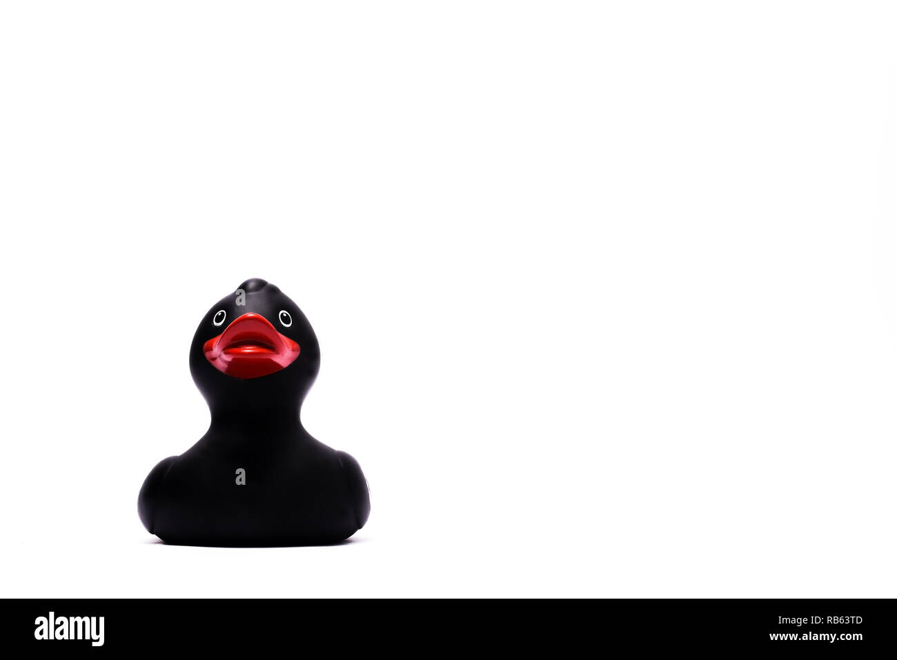 Schwarz Rubber Duck im Studio Stockfoto