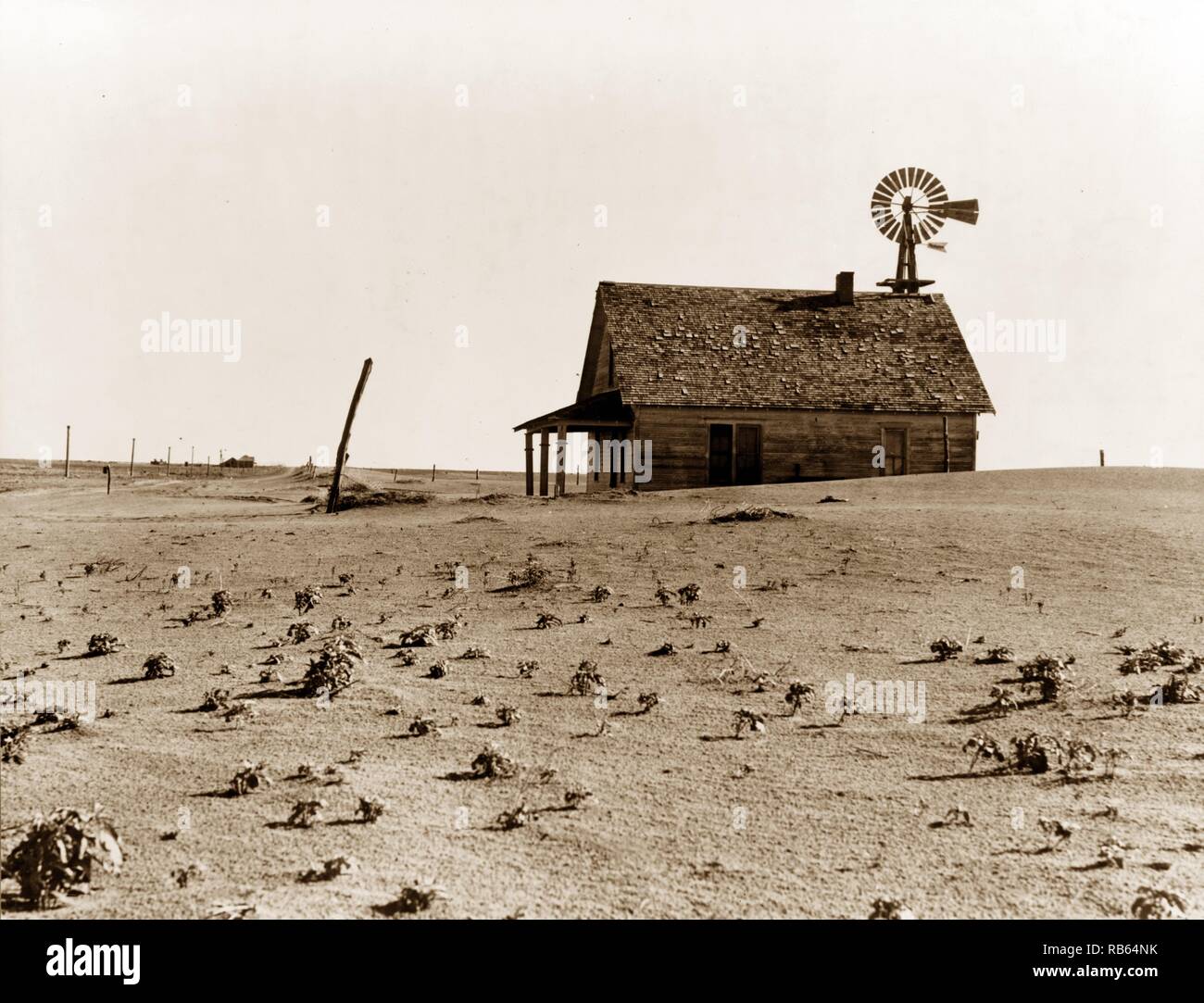 Foto des Coldwater Bezirk, nördlich von Socorro, Texas. Dieses Haus ist besetzt; die meisten Häuser in diesem Viertel wurden von Dorothea Lange aufgegeben (1895-1965). Vom 1938 Stockfoto