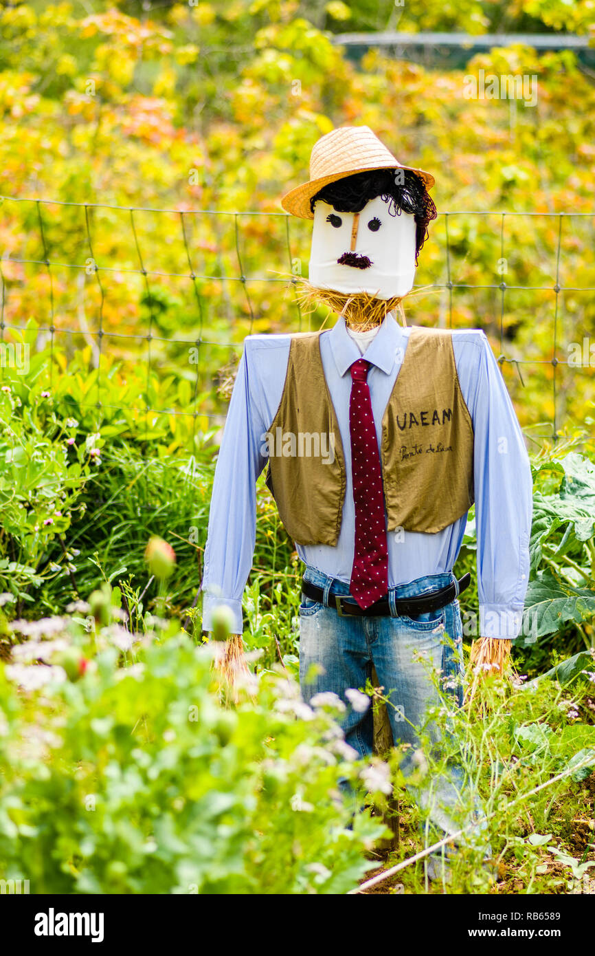 Puppe verwendet Vögel durch den Verzehr von Samen im Feld zu halten. Stockfoto