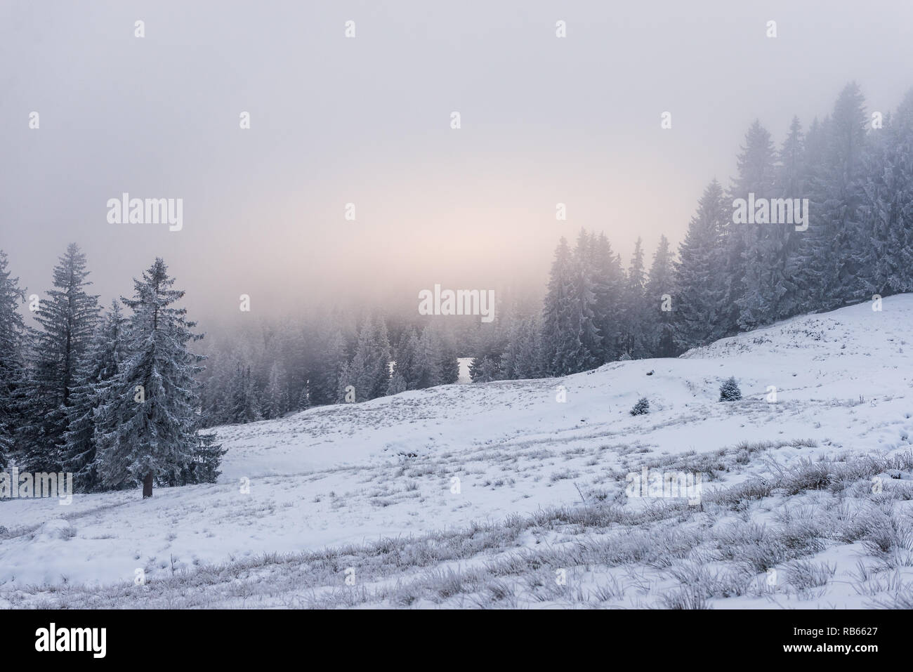 Winter Im Gantrisch Gebiet, Berner Oberland Stockfoto