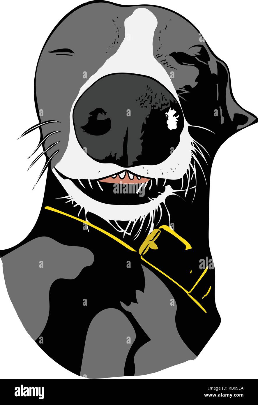 Farbe vektorgrafik von schlafenden graue und weiße Whippet Hund mit markanter Nase. Stock Vektor