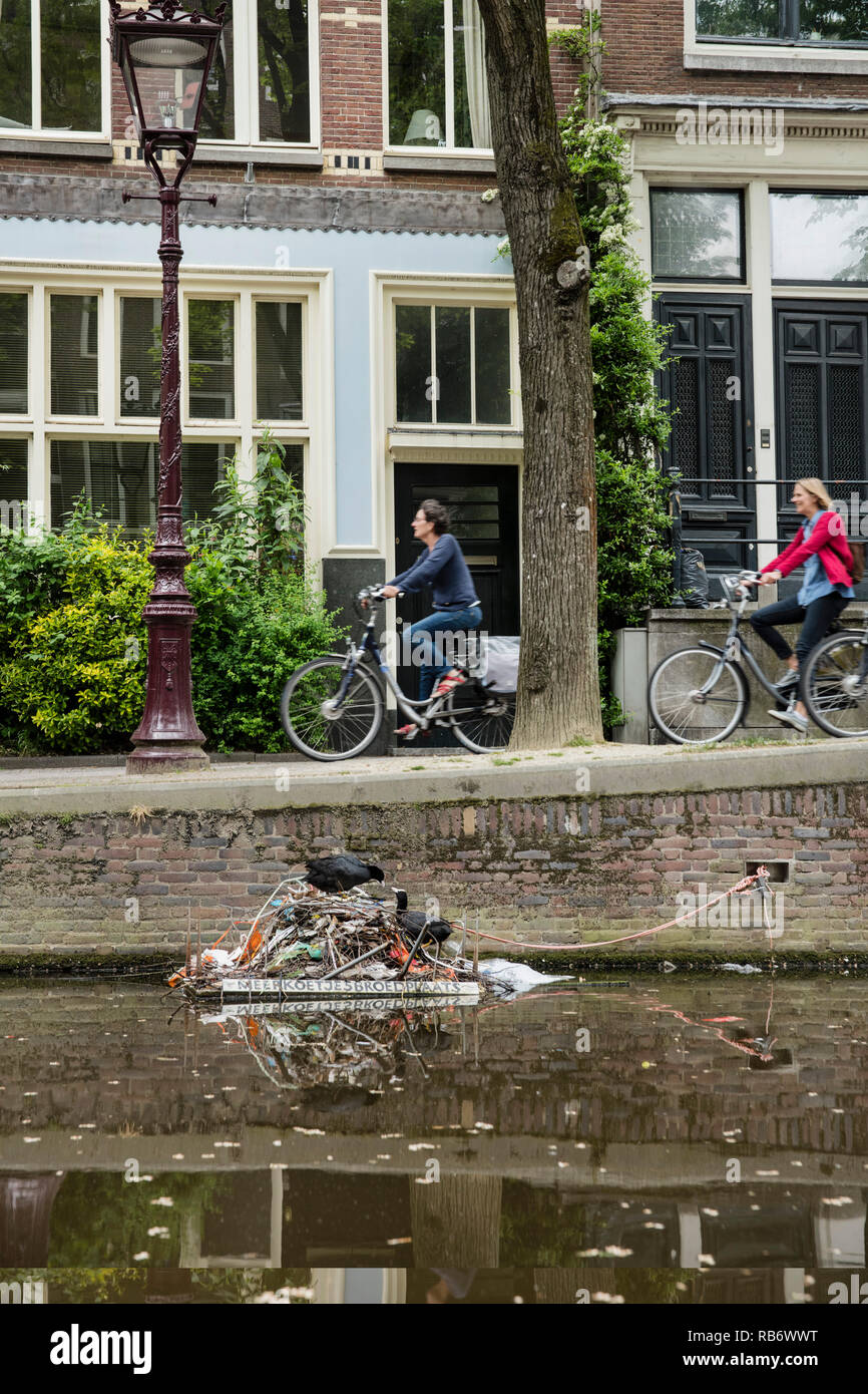Eurasischen Blässhuhn (Fulica atra), auch bekannt als Blässhuhn, paar Schachteln im Canal genannt Oudezijds Achterburgwal, Amsterdam, Niederlande. Stockfoto
