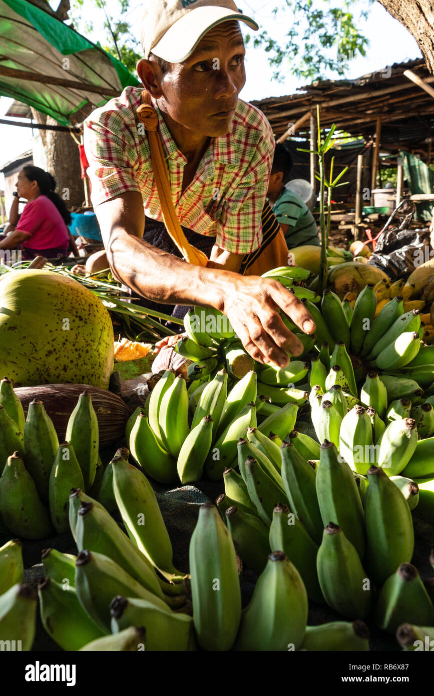 Junge Verkauf von Bananen auf dem lokalen Markt in Inle See, Myanmar Stockfoto